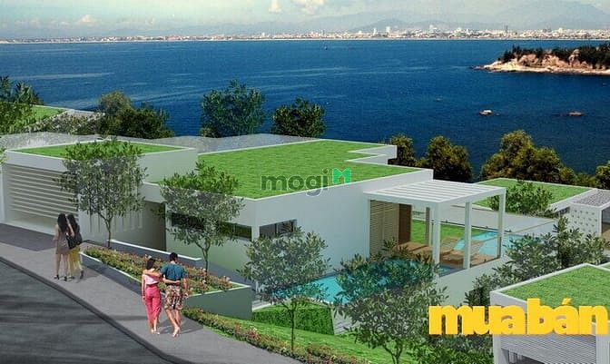 Ocean Front Villas