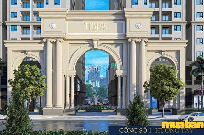 Tumys Homes Phú Mỹ