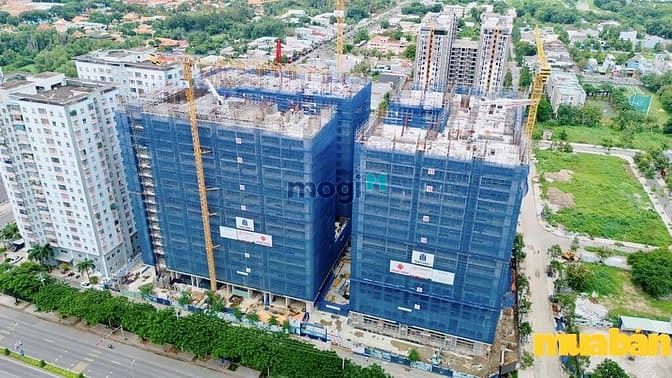 Tumys Homes Phú Mỹ