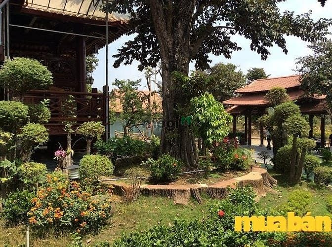 Camland Garden