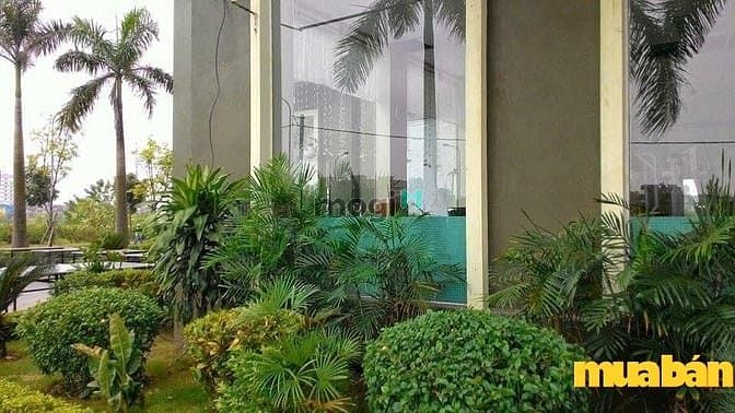 Green Tower Sài Đồng