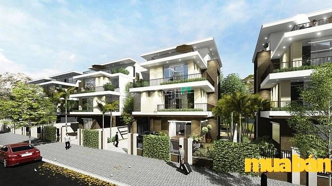 TNR Stars Bỉm Sơn