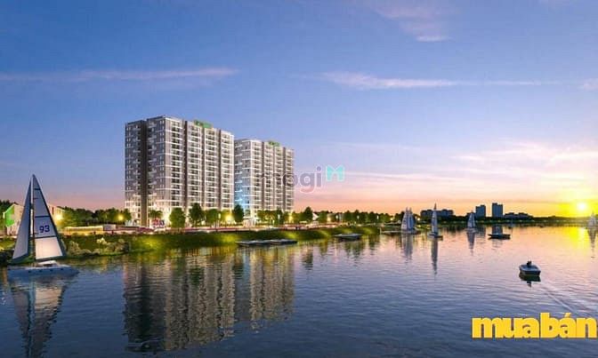 Jamona Eco
