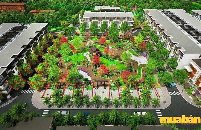 BV Bavella Lạc Ngàn