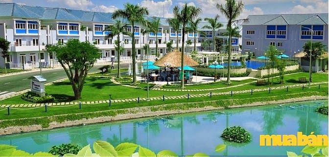 Dự án Trí Minh