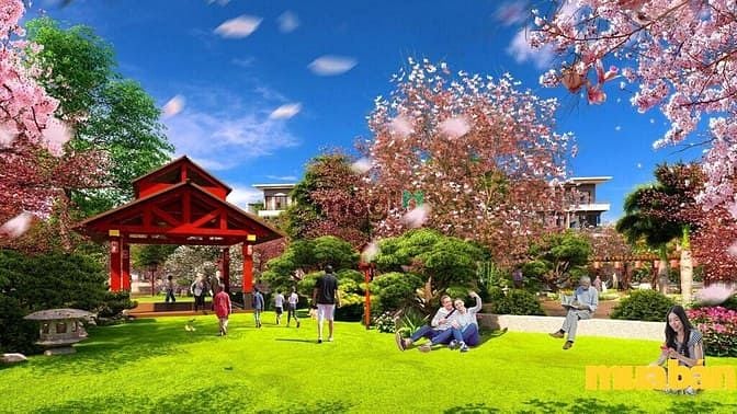 BV Bavella Lạc Ngàn