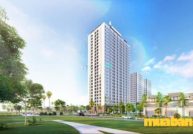 Chung cư 389 Dream Home