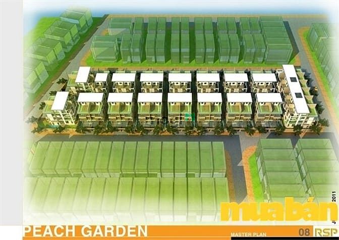 Peach Garden