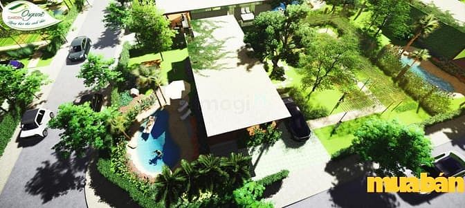 Organic Garden