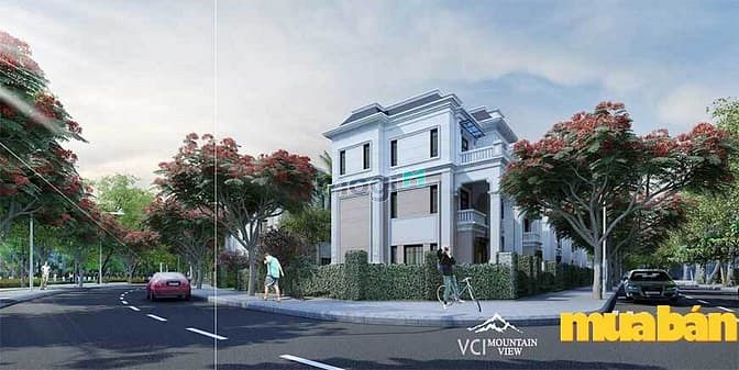 VCI Mountain View