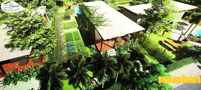 Organic Garden