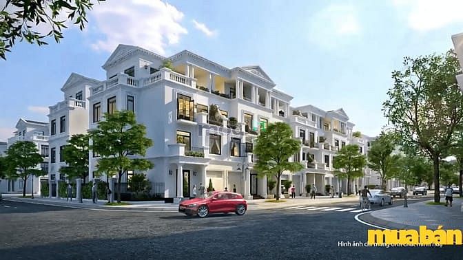TMS Homes Wonder World