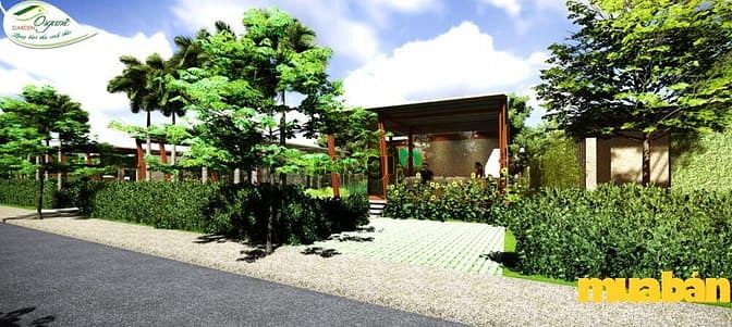 Organic Garden