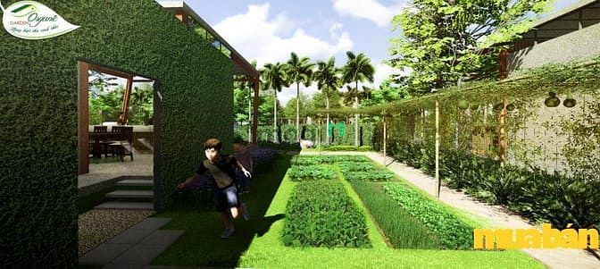 Organic Garden