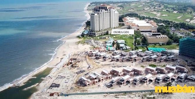 Ixora Hồ Tràm