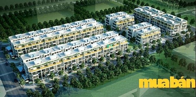 Green Lotus Resident