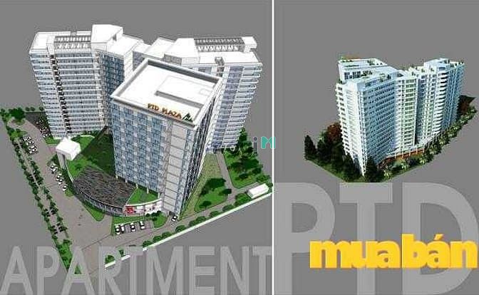 TDH - Phúc Thịnh Đức