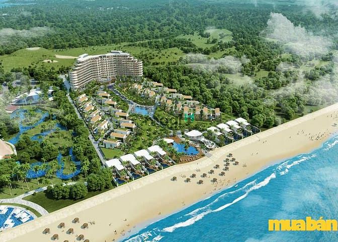 Ixora Hồ Tràm