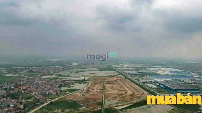 An Bình Vọng Đông