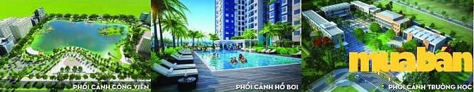 Green Complex City