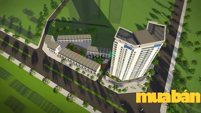 Newtatco Complex