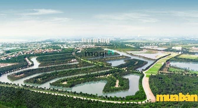 Ecopark Grand - The Island