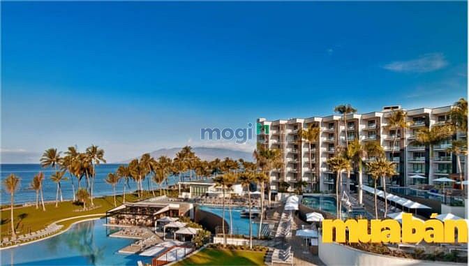 Vinpearl Cửa Hội