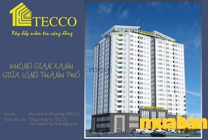 Tecco Thái Nguyên