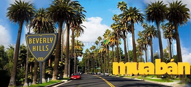 Beverly Hills Hạ Long