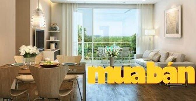 Adi Lucky Home