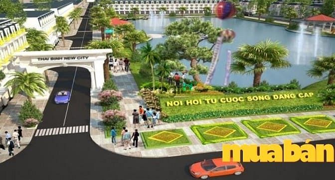 New City Thái Bình