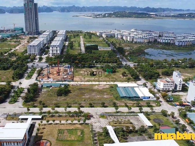 Khu đô thị Đa Giác 4
