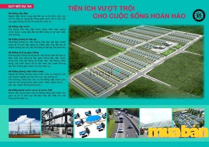 Apec Đa Hội