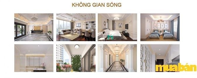 Khu đô thị Rùa Vàng City