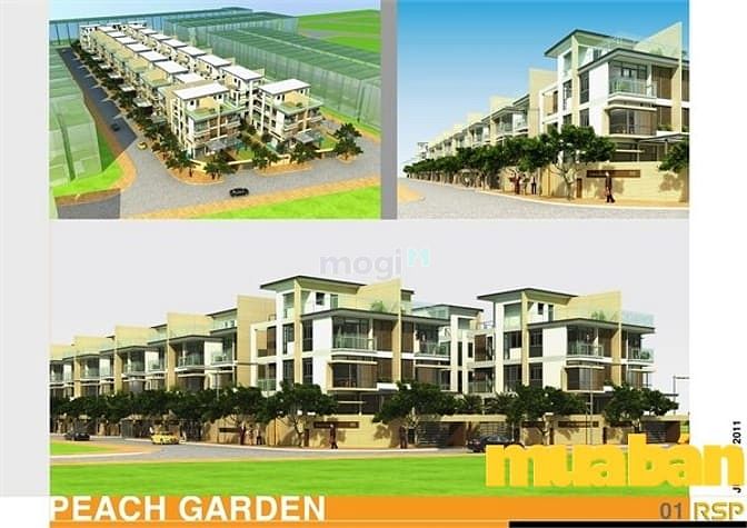 Peach Garden