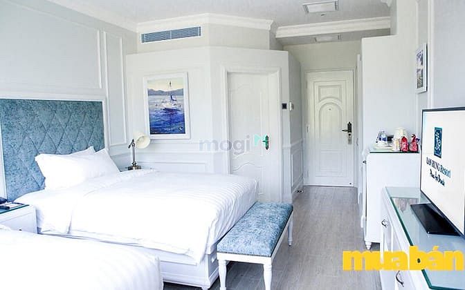 Lan Rừng Phước Hải