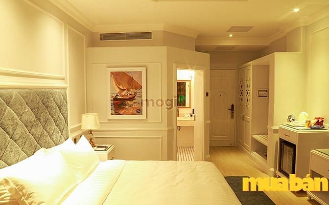Lan Rừng Phước Hải