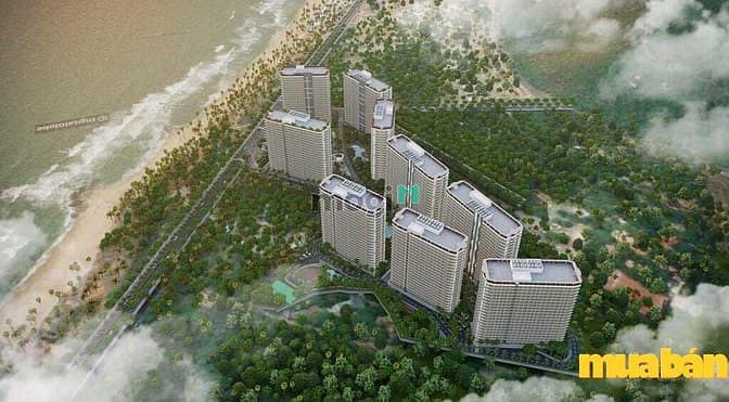 Serenity Phước Hải