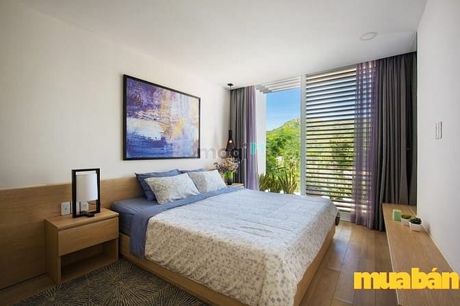 Oceanami Luxury Homes and Resort