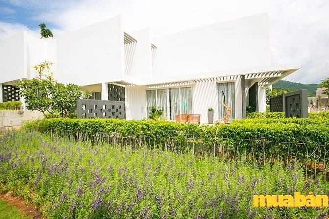 Oceanami Luxury Homes and Resort