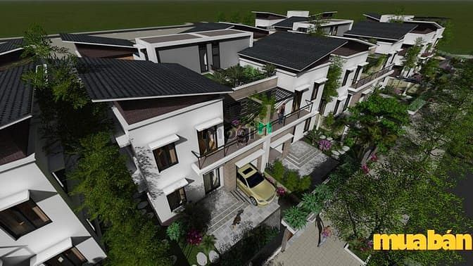 Apec Đa Hội