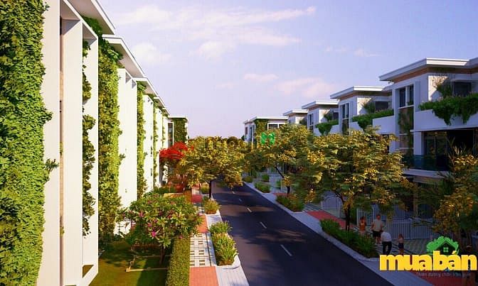 Hồ Tràm Eco Villas