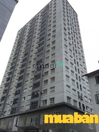 Chung cư 96 Định Công
