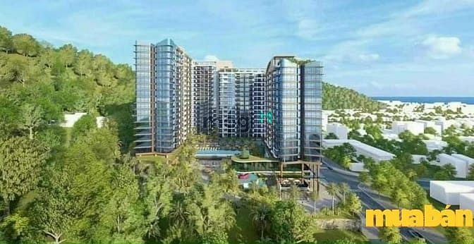 FiveSeasons Homes