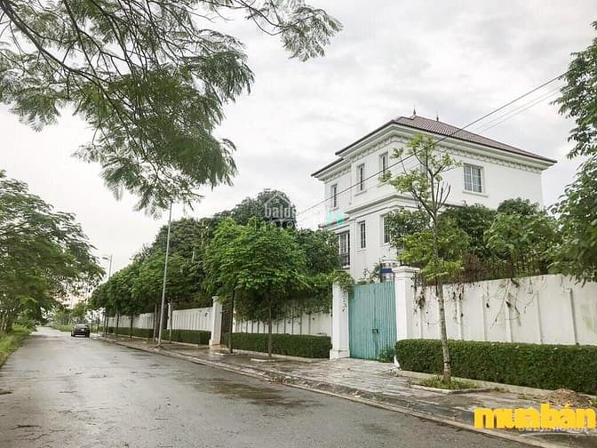 Khu Đô Thị Cienco 5 Mê Linh