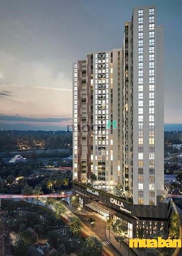 Calla Apartment Quy Nhơn