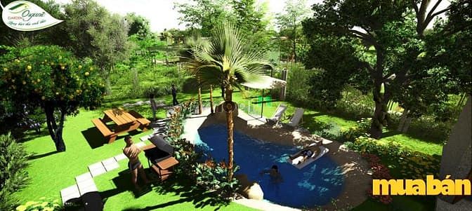 Organic Garden