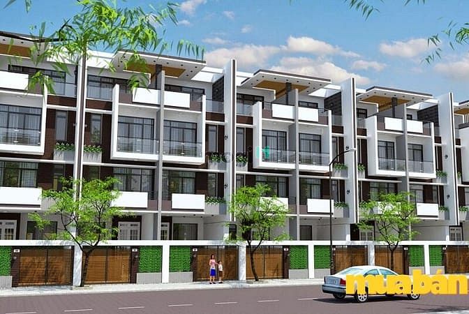 TNR Phố Nối