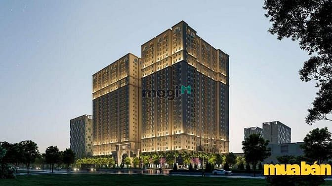Tumys Homes Phú Mỹ
