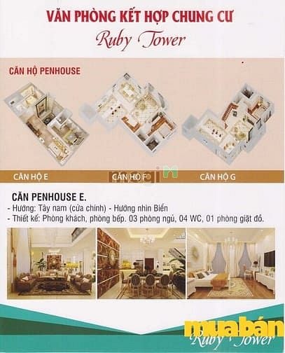 Ruby Tower Vũng Tàu